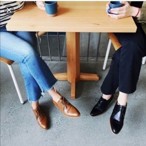 Everlane modern oxford